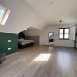 Rent 3 bedroom house of 222 m² in Berlare
