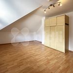 Rent 1 bedroom house of 170 m² in Praha