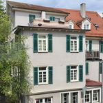 TOP-location! 2 room-apartment in historic town, private parking - university, clinics, Neckar, castle by foot