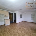 Appartement de 40 m² avec 1 chambre(s) en location à Annonay