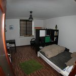Rent 1 bedroom apartment of 23 m² in Bielefeld