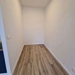 Rent 1 bedroom apartment of 38 m² in Brno