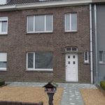 Rent 3 bedroom house in Harelbeke