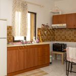 Ενοικίαση 1 υπνοδωμάτια σπίτι από 45 m² σε Alexandroupoli