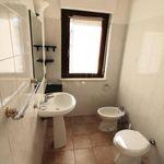 Rent 1 bedroom apartment of 40 m² in San Benedetto del Tronto