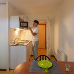 Rent 1 bedroom apartment of 31 m² in Lyon