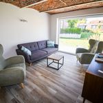 Rent 1 bedroom apartment of 50 m² in Lennik