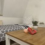 Miete 3 Schlafzimmer wohnung von 70 m² in Halle (Saale)