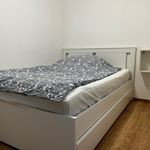 Miete 2 Schlafzimmer wohnung von 35 m² in Koblenz