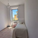 Rent 3 bedroom apartment of 51 m² in Ajaccio