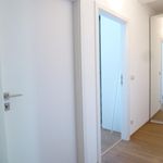 Rent 3 bedroom apartment of 81 m² in Wien