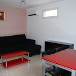 Rent 2 bedroom house of 41 m² in Mas-Saintes-Puelles