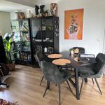 Rent 1 bedroom apartment of 43 m² in Wolfheze