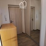 Rent 1 bedroom apartment of 59 m² in Plzeň