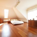 Rent 5 bedroom apartment of 250 m² in Szczecin