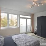 Miete 1 Schlafzimmer wohnung von 28 m² in Berlin, Stadt
