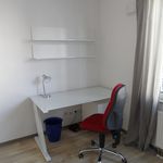 Rent 1 bedroom apartment of 20 m² in Nuremberg
