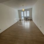 Rent 3 bedroom apartment of 66 m² in Třinec