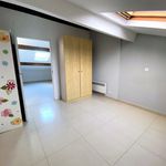 Rent 1 bedroom apartment of 27 m² in Nice Borriglione