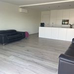 Rent 1 bedroom apartment in Jabbeke