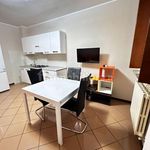 Affitto 1 camera appartamento di 60 m² in Piacenza
