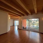 Rent 4 bedroom apartment of 120 m² in Ticino