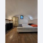 Rent 2 bedroom apartment of 39 m² in Lyon