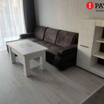 Rent 2 bedroom apartment of 37 m² in Mierzyn