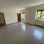 Affitto 3 camera appartamento di 58 m² in Serra Riccò