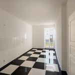 Rent 4 bedroom apartment of 110 m² in Chemnitz
