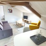 Rent 2 bedroom apartment of 29 m² in Parentignat