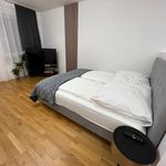 Miete 1 Schlafzimmer wohnung von 30 m² in Paderborn