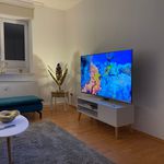 Rent 2 bedroom apartment of 60 m² in Osnabrück