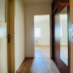 Rent 1 bedroom apartment of 27 m² in Hlučín