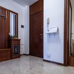 Affitto 2 camera appartamento in Udine