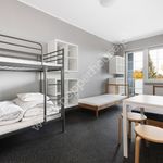 Rent 7 bedroom house of 260 m² in Bydgoszcz
