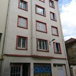 Rent 2 bedroom apartment of 50 m² in Grenoble