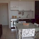 Rent 2 bedroom apartment of 43 m² in Castagneto Carducci
