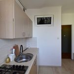 Wynajmij 1 sypialnię apartament z 40 m² w Kielce