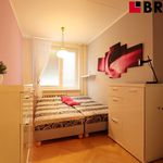 Rent 2 bedroom apartment of 45 m² in Brno