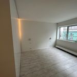Rent 2 bedroom apartment of 155 m² in Antwerpen