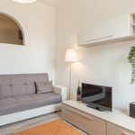 Rent 2 bedroom apartment in Livorno
