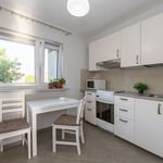 Rent 2 bedroom apartment of 52 m² in Lodz