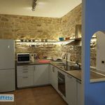 Rent 3 bedroom apartment of 120 m² in Pescocostanzo