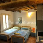 Rent 1 bedroom apartment of 28 m² in Siena