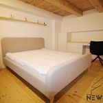 Rent 2 bedroom apartment in Píšťany