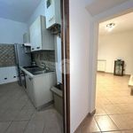 Rent 2 bedroom apartment of 50 m² in Castelnuovo di Garfagnana