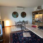 Rent 5 bedroom apartment of 233 m² in Milano