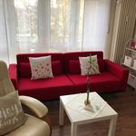 Rent 1 bedroom apartment of 33 m² in Schwabach