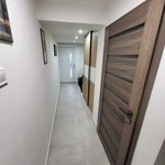 Rent 1 bedroom house of 250 m² in Dolní Olešnice